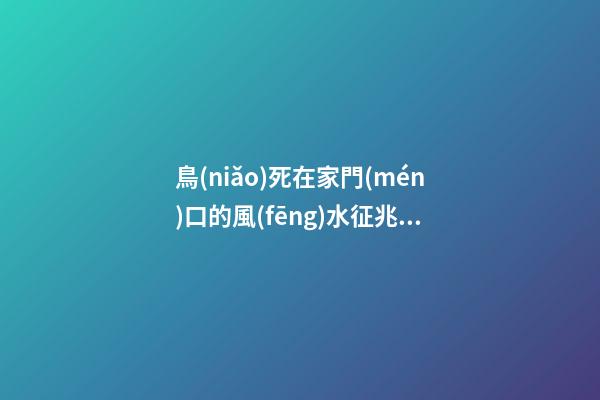 鳥(niǎo)死在家門(mén)口的風(fēng)水征兆 替人擋災(zāi)仍需當(dāng)心